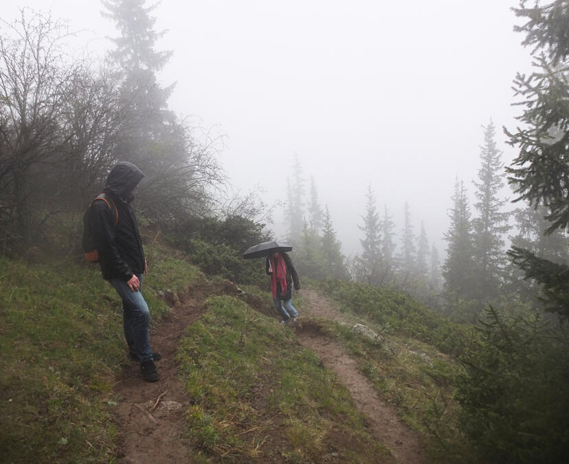hikes