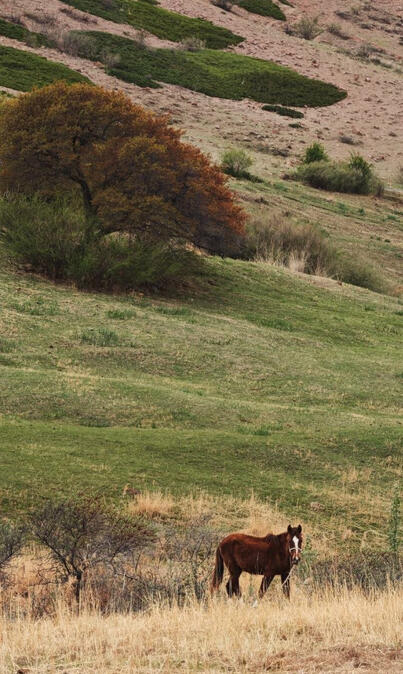 hike